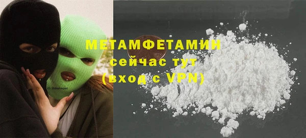 прущие грибы Горняк