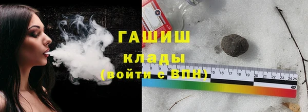прущие грибы Горняк