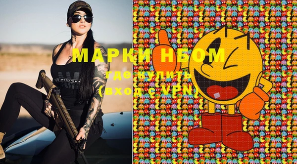 прущие грибы Горняк