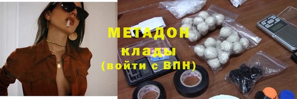 прущие грибы Горняк