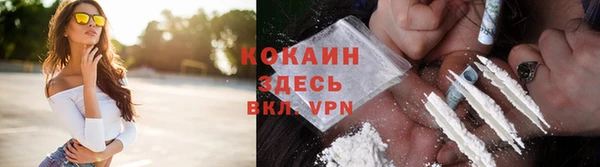 прущие грибы Горняк