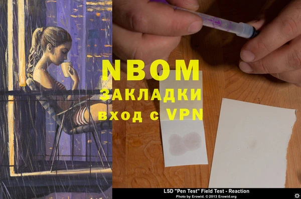 прущие грибы Горняк