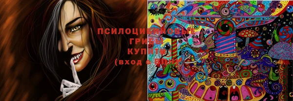 кокс Вяземский
