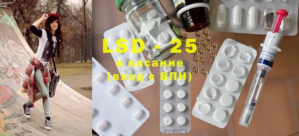 прущие грибы Горняк
