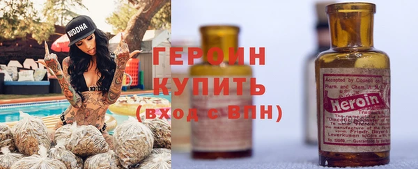 прущие грибы Горняк