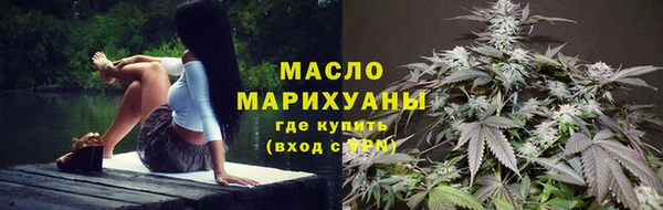 прущие грибы Горняк