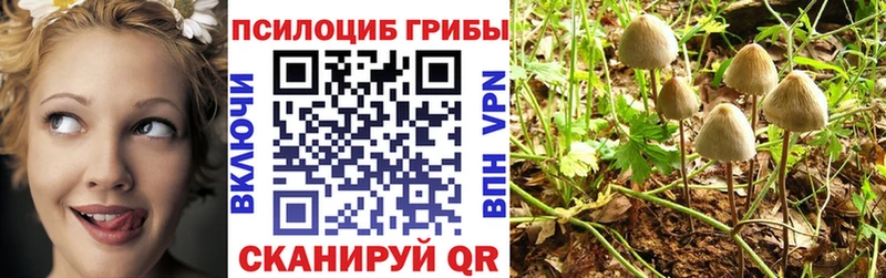 Псилоцибиновые грибы MAGIC MUSHROOMS  сайты даркнета состав  Северск  купить наркотик 